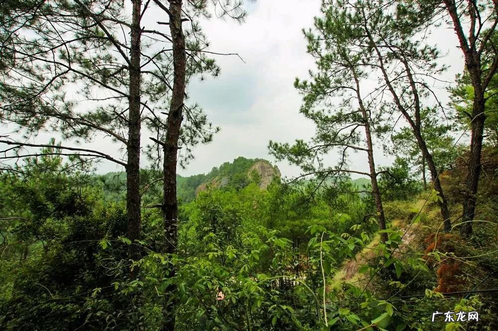 祠堂方位风水讲究 老祠堂风水图解论坛