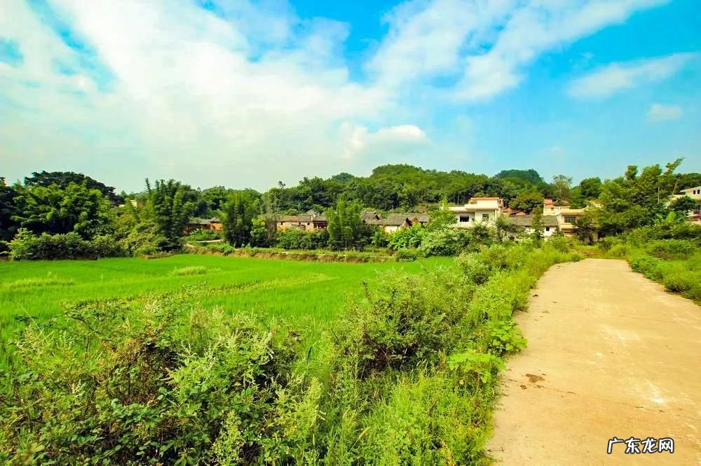 祠堂方位风水讲究 老祠堂风水图解论坛