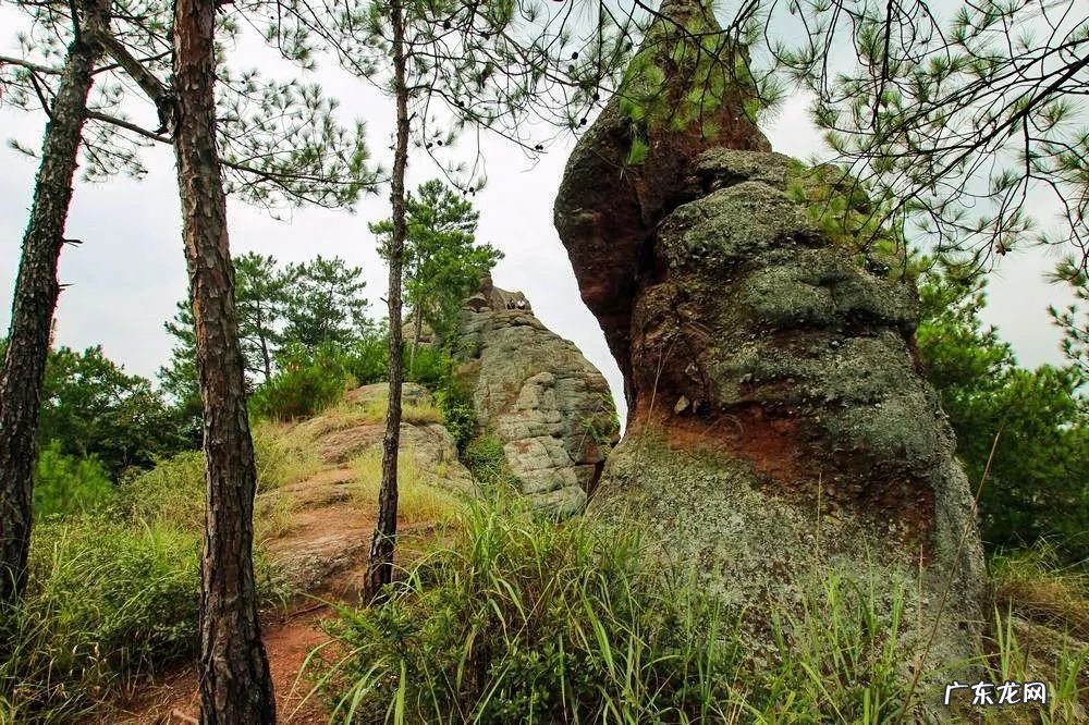 祠堂方位风水讲究 老祠堂风水图解论坛