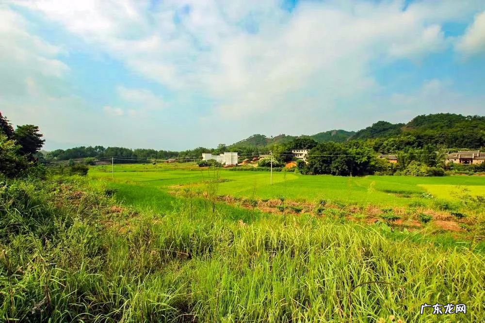 祠堂方位风水讲究 老祠堂风水图解论坛