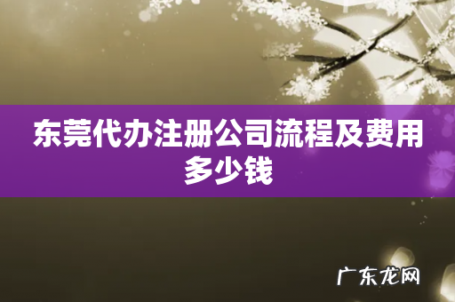 东莞代办注册公司流程及费用多少钱