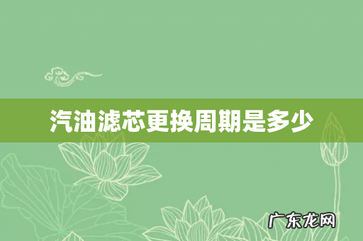 汽油滤芯更换周期是多少