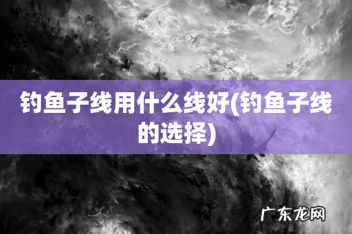 钓鱼子线的选择 钓鱼子线用什么线好