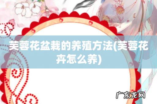 芙蓉花卉怎么养 芙蓉花盆栽的养殖方法