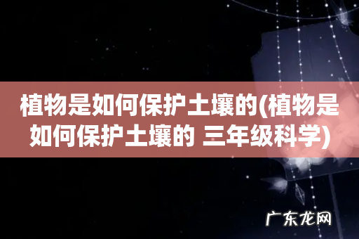 植物是如何保护土壤的 三年级科学 植物是如何保护土壤的
