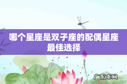 哪个星座是双子座的配偶星座最佳选择