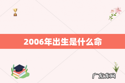 2006年出生是什么命