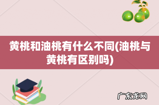 油桃与黄桃有区别吗 黄桃和油桃有什么不同