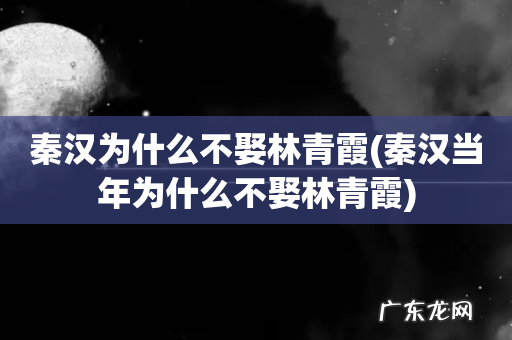 秦汉当年为什么不娶林青霞 秦汉为什么不娶林青霞