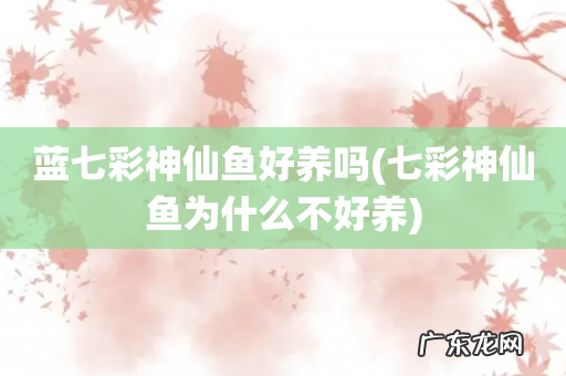 七彩神仙鱼为什么不好养 蓝七彩神仙鱼好养吗