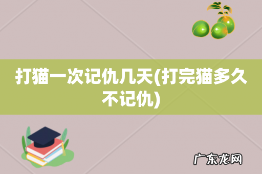 打完猫多久不记仇 打猫一次记仇几天