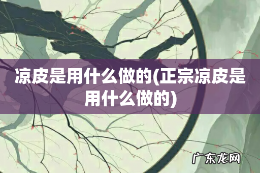 正宗凉皮是用什么做的 凉皮是用什么做的