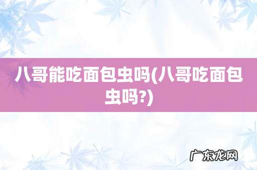 八哥吃面包虫吗? 八哥能吃面包虫吗