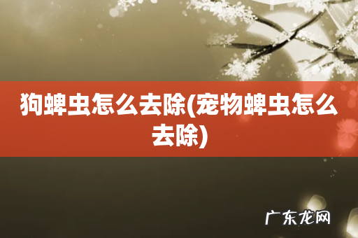 宠物蜱虫怎么去除 狗蜱虫怎么去除