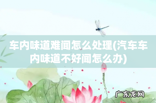 汽车车内味道不好闻怎么办 车内味道难闻怎么处理