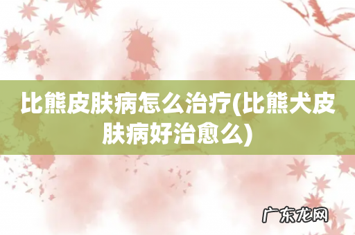 比熊犬皮肤病好治愈么 比熊皮肤病怎么治疗