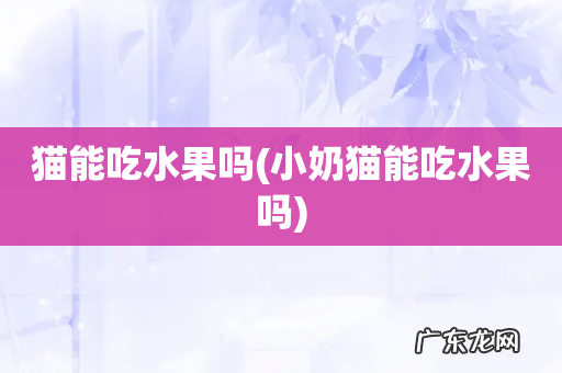 小奶猫能吃水果吗 猫能吃水果吗