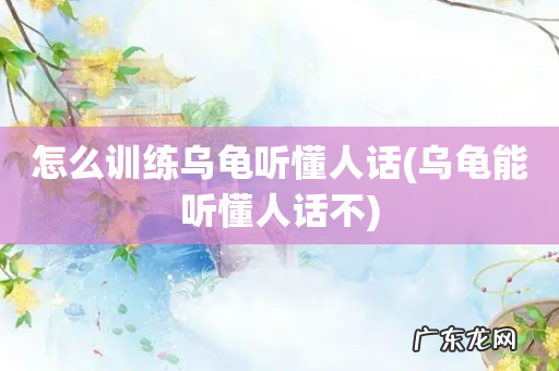 乌龟能听懂人话不 怎么训练乌龟听懂人话