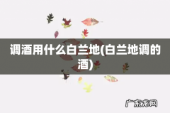 白兰地调的酒 调酒用什么白兰地