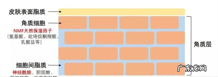 男生保养脸部皮肤步骤 男士脸部皮肤保养方法