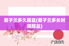 君子兰多长时间服盆 君子兰多久服盆