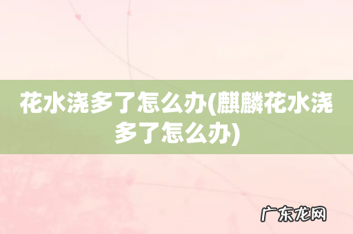 麒麟花水浇多了怎么办 花水浇多了怎么办