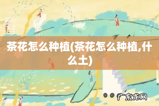 茶花怎么种植,什么土 茶花怎么种植