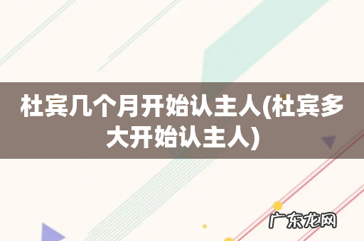 杜宾多大开始认主人 杜宾几个月开始认主人