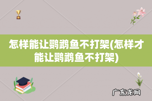 怎样才能让鹦鹉鱼不打架 怎样能让鹦鹉鱼不打架
