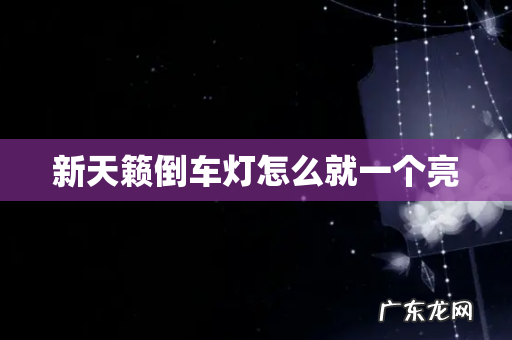 新天籁倒车灯怎么就一个亮