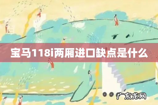 宝马118i两厢进口缺点是什么