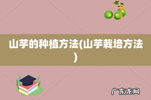 山芋栽培方法 山芋的种植方法