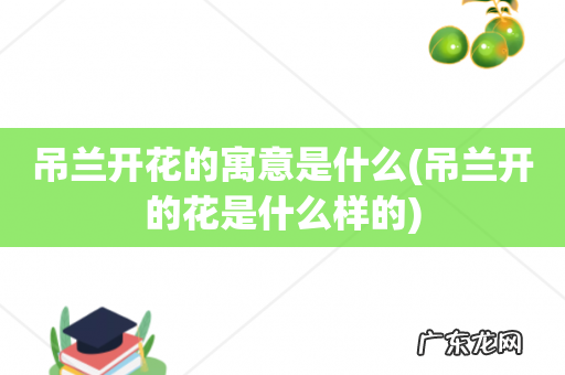 吊兰开的花是什么样的 吊兰开花的寓意是什么