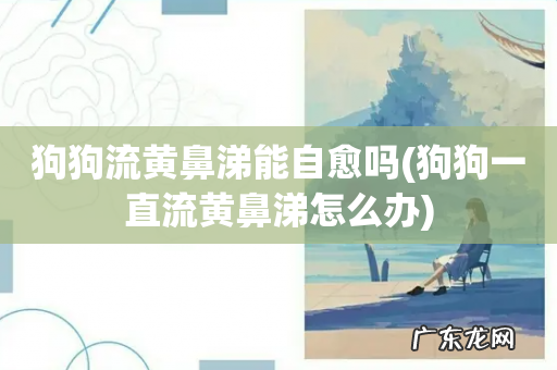 狗狗一直流黄鼻涕怎么办 狗狗流黄鼻涕能自愈吗