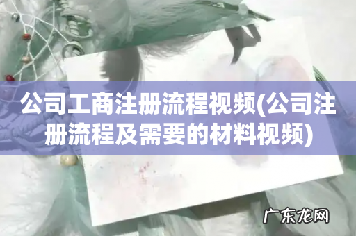 公司注册流程及需要的材料视频 公司工商注册流程视频