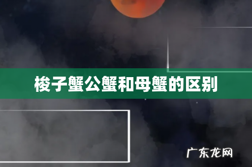 梭子蟹公蟹和母蟹的区别