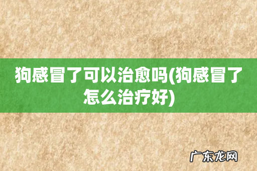 狗感冒了怎么治疗好 狗感冒了可以治愈吗