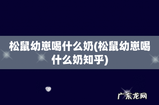 松鼠幼崽喝什么奶知乎 松鼠幼崽喝什么奶