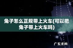 可以把兔子带上火车吗 兔子怎么正规带上火车