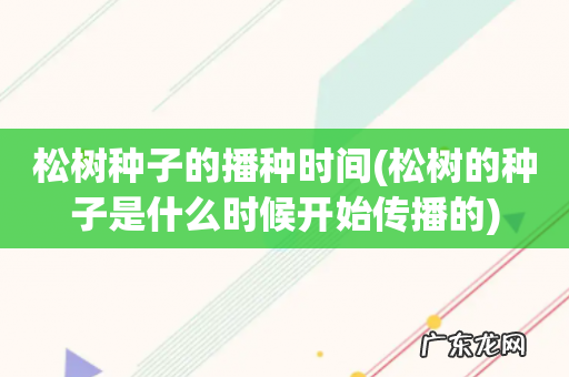 松树的种子是什么时候开始传播的 松树种子的播种时间