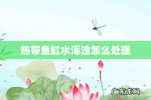 热带鱼缸水浑浊怎么处理