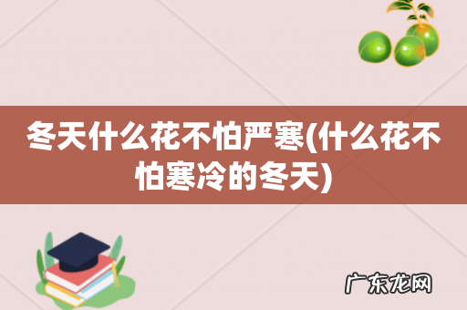 什么花不怕寒冷的冬天 冬天什么花不怕严寒