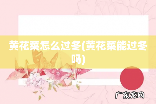 黄花菜能过冬吗 黄花菜怎么过冬