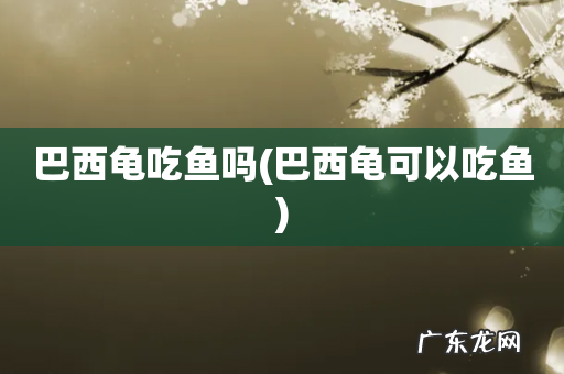 巴西龟可以吃鱼 巴西龟吃鱼吗