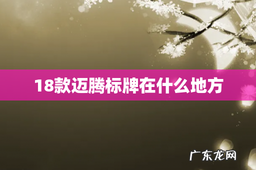 18款迈腾标牌在什么地方