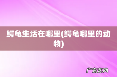 鳄龟哪里的动物 鳄龟生活在哪里