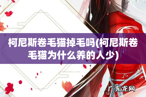 柯尼斯卷毛猫为什么养的人少 柯尼斯卷毛猫掉毛吗