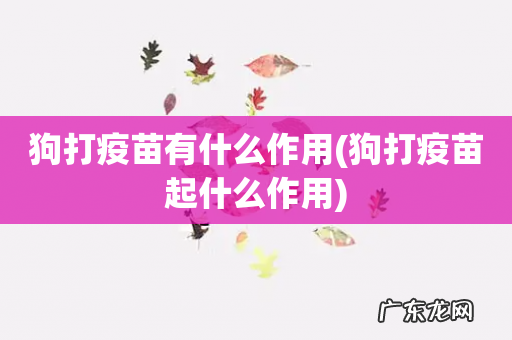 狗打疫苗起什么作用 狗打疫苗有什么作用
