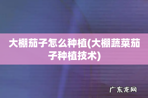 大棚蔬菜茄子种植技术 大棚茄子怎么种植