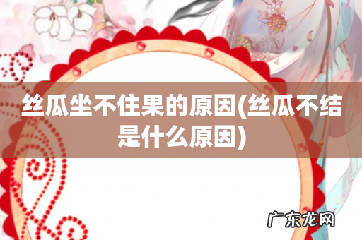 丝瓜不结是什么原因 丝瓜坐不住果的原因